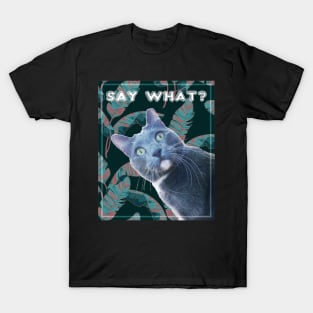 Say What? Surprised Cat T-Shirt